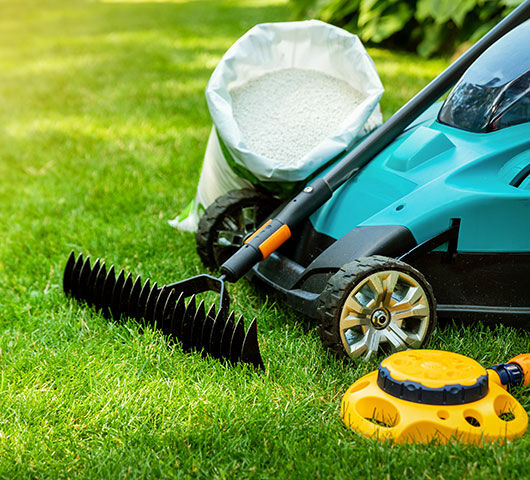 Van snoeischaar tot tuinafvalzak: dit heb je écht nodig in je tuin