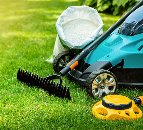 Van snoeischaar tot tuinafvalzak: dit heb je écht nodig in je tuin